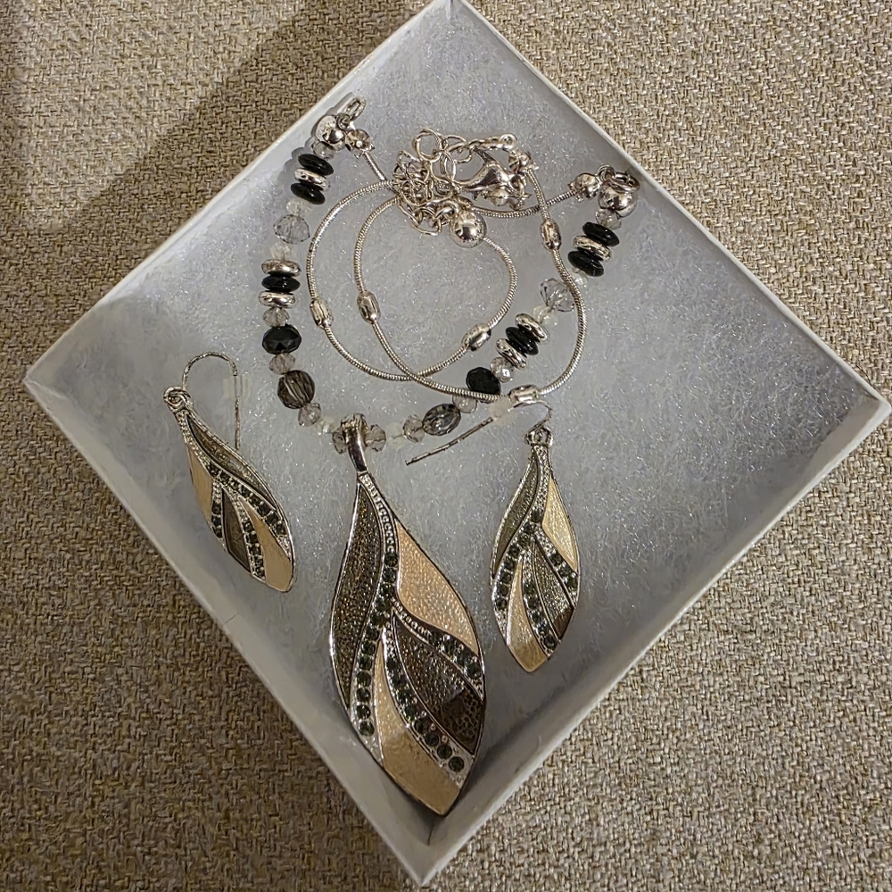 Elegant Silver and Black Necklace and Earring Set